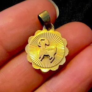 ♑️ Capricorn gold pendant